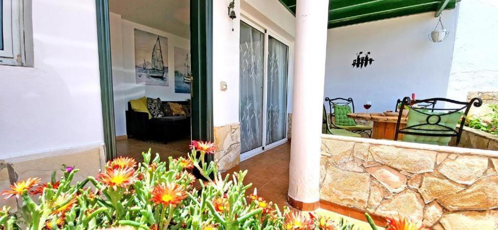 Dos Gatos Fuertaventura Villa Caleta De Fuste Bagian luar foto