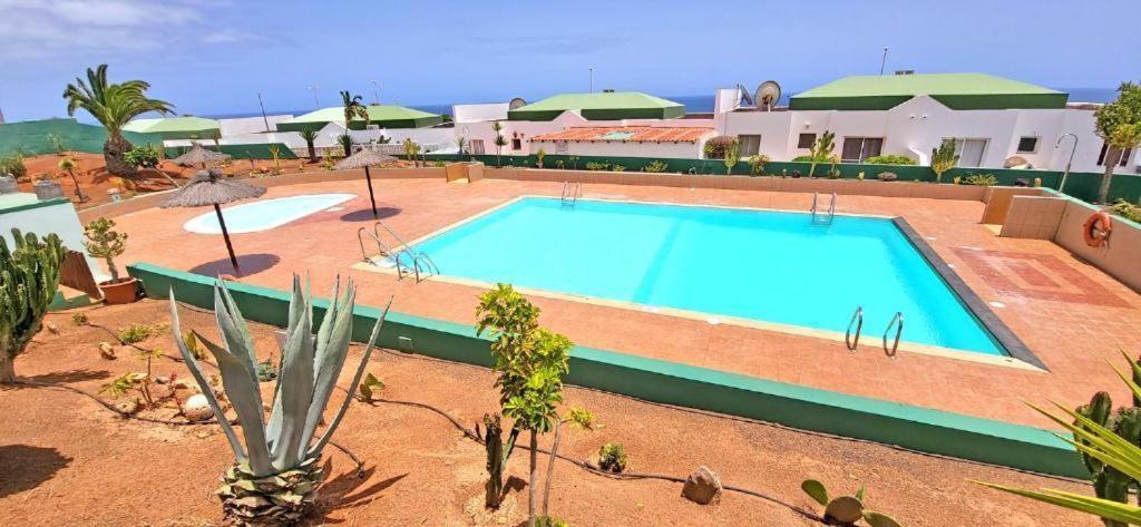 Dos Gatos Fuertaventura Villa Caleta De Fuste Bagian luar foto